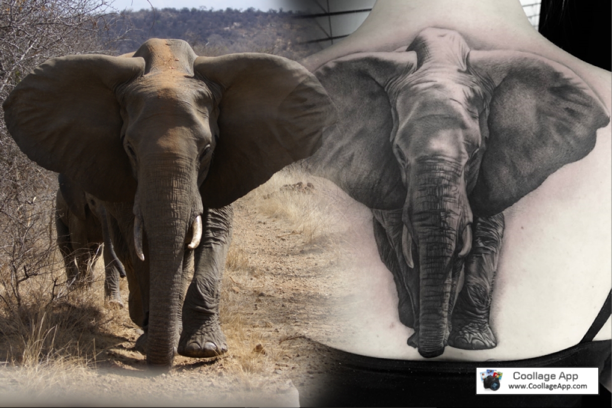 dolores:african-elephant-henna-inspired-african-elephant-elephant-leg-tattoo